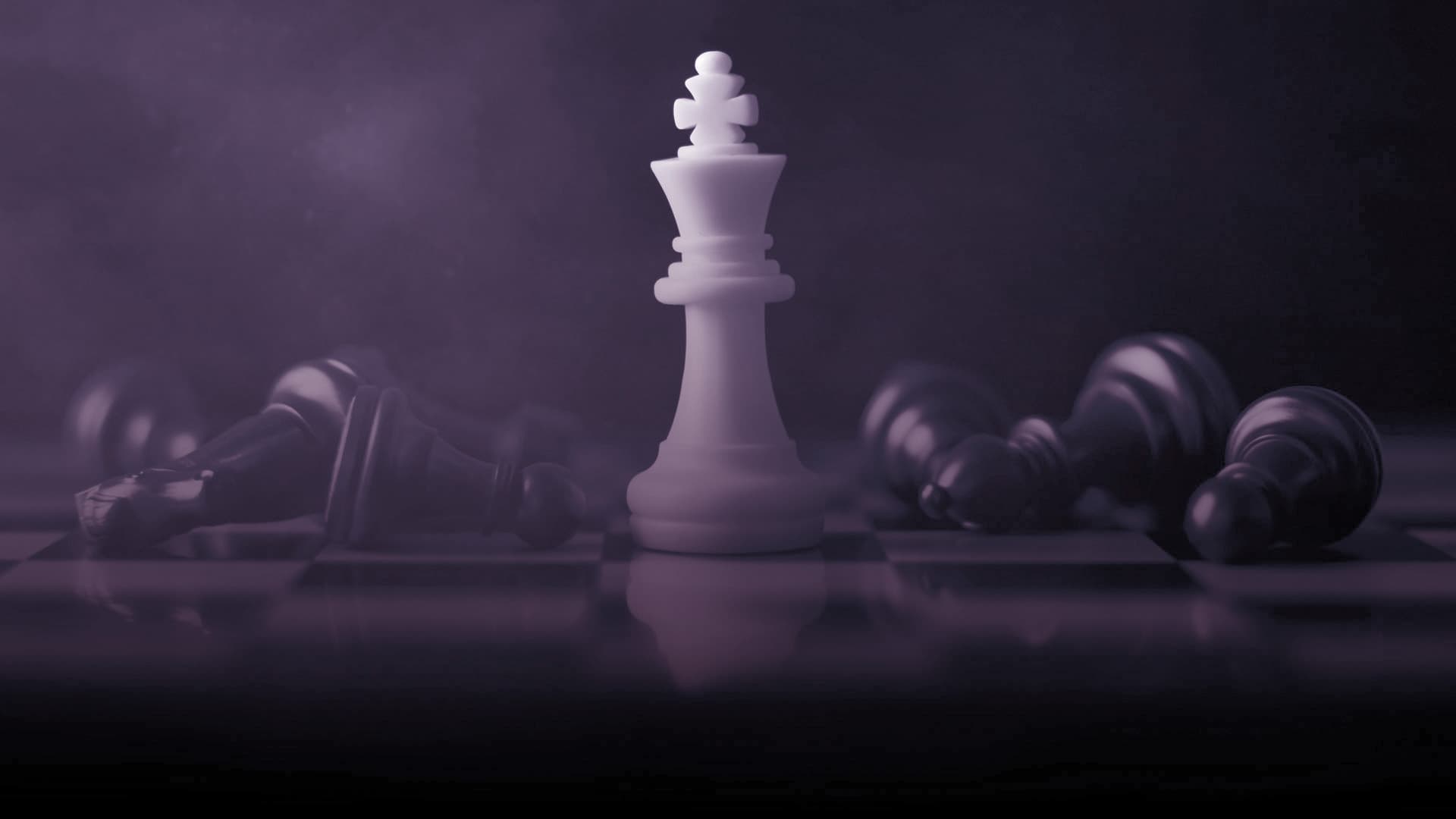 Software & App Development