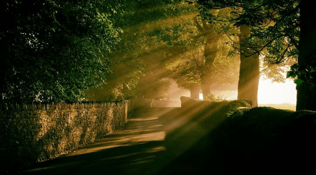 The Golden Hour: Timing Your Market Entry